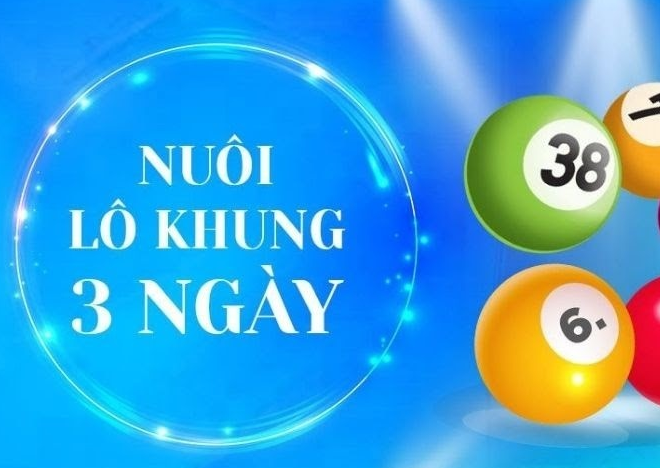 Quy trình nuôi lô khung 3 ngày cực chi tiết